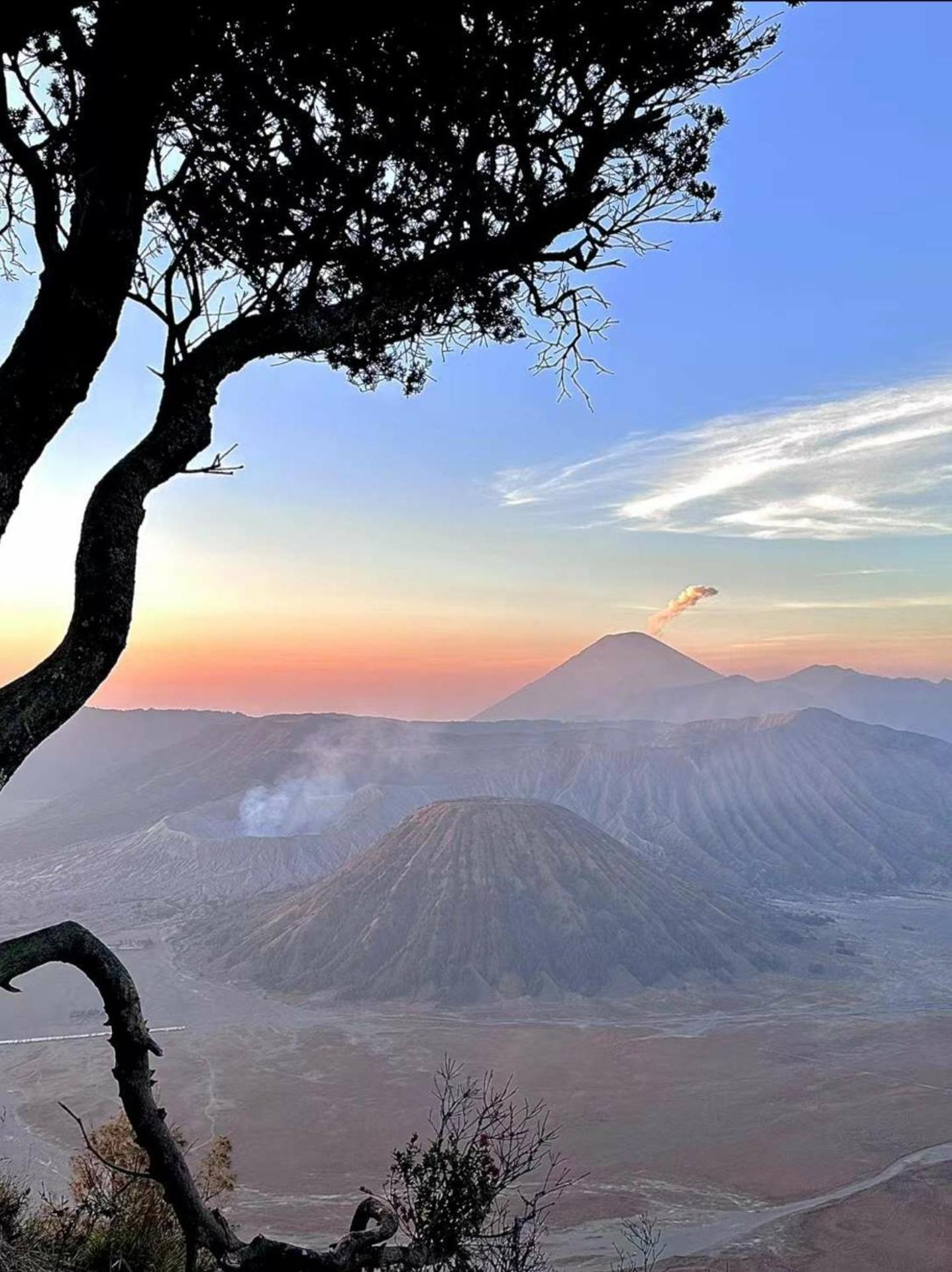Bromo Holiday Guest House Ngadisari Kültér fotó